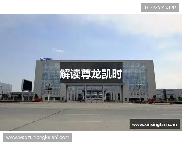 分析ag尊龙凯时的安全保障措施，确保玩家信息与资金安全